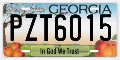 GA license plate PZT6015