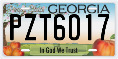 GA license plate PZT6017