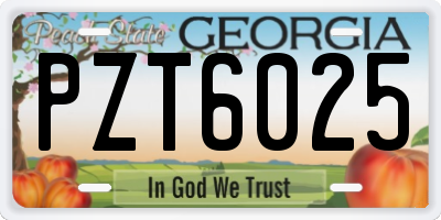 GA license plate PZT6025