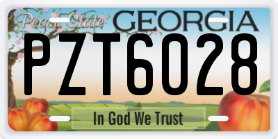GA license plate PZT6028