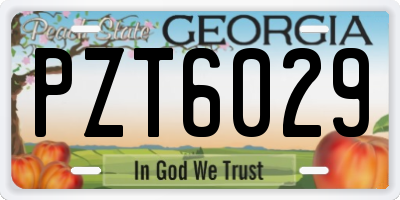 GA license plate PZT6029