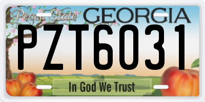 GA license plate PZT6031