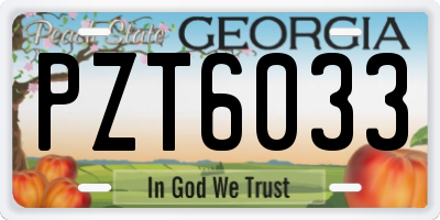 GA license plate PZT6033