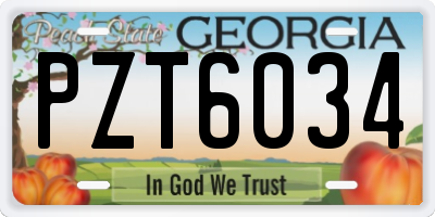 GA license plate PZT6034