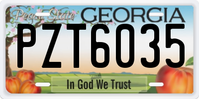 GA license plate PZT6035