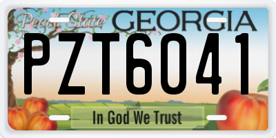 GA license plate PZT6041