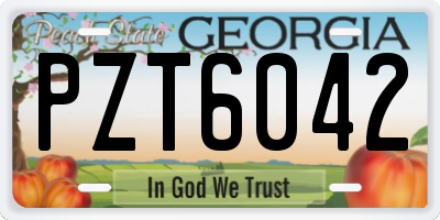 GA license plate PZT6042