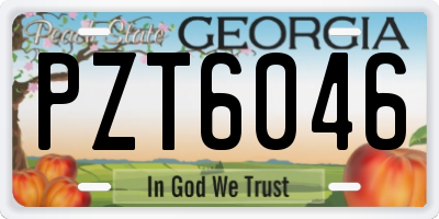 GA license plate PZT6046