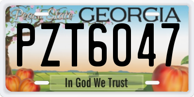 GA license plate PZT6047