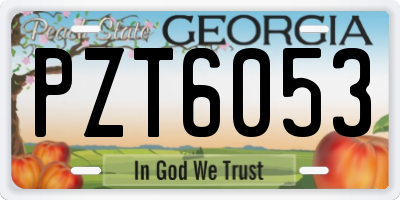 GA license plate PZT6053