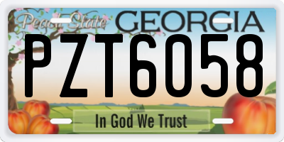 GA license plate PZT6058