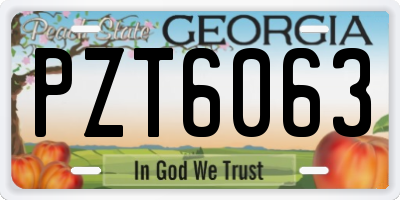 GA license plate PZT6063