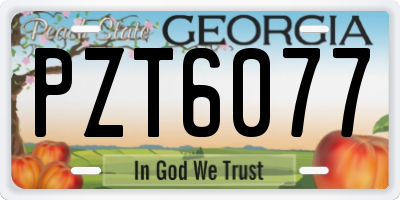 GA license plate PZT6077