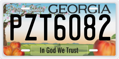GA license plate PZT6082
