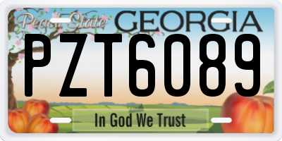 GA license plate PZT6089