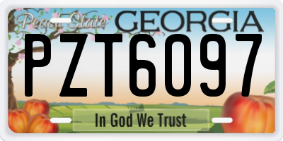 GA license plate PZT6097