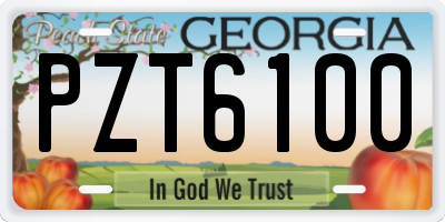 GA license plate PZT6100