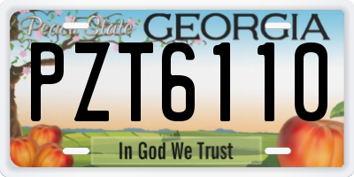 GA license plate PZT6110