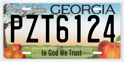 GA license plate PZT6124