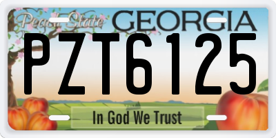 GA license plate PZT6125