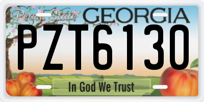 GA license plate PZT6130