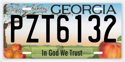 GA license plate PZT6132