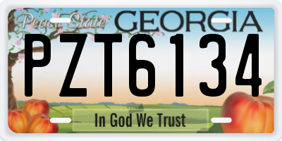 GA license plate PZT6134