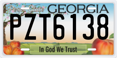 GA license plate PZT6138