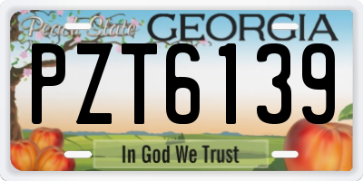 GA license plate PZT6139