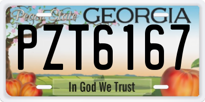 GA license plate PZT6167