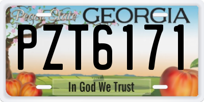 GA license plate PZT6171