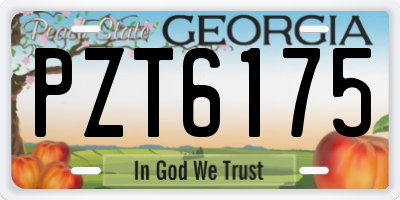 GA license plate PZT6175