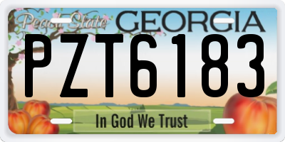 GA license plate PZT6183