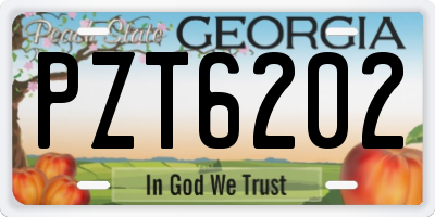 GA license plate PZT6202