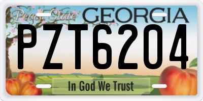 GA license plate PZT6204