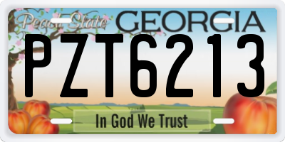 GA license plate PZT6213