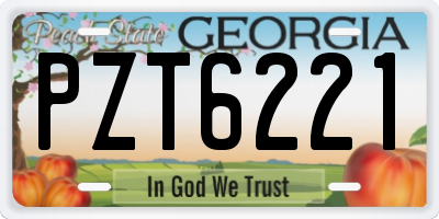 GA license plate PZT6221