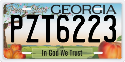 GA license plate PZT6223