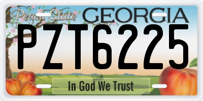 GA license plate PZT6225