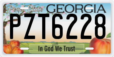 GA license plate PZT6228
