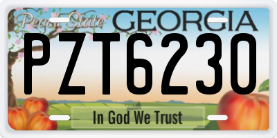 GA license plate PZT6230