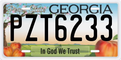 GA license plate PZT6233