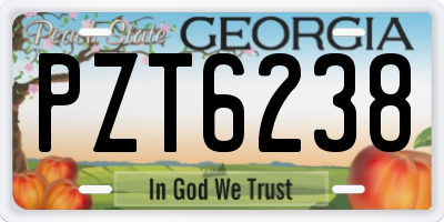 GA license plate PZT6238