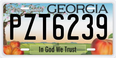 GA license plate PZT6239