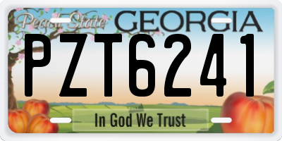 GA license plate PZT6241