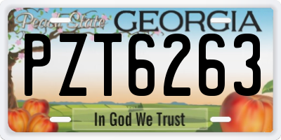 GA license plate PZT6263