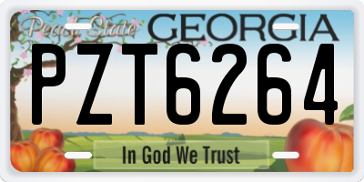 GA license plate PZT6264