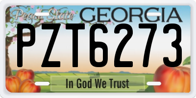 GA license plate PZT6273