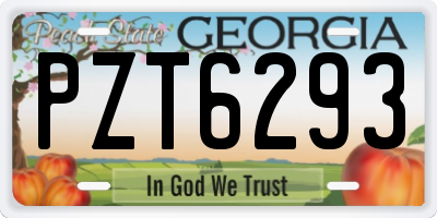 GA license plate PZT6293