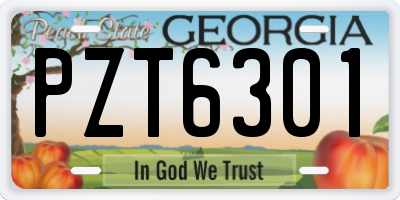 GA license plate PZT6301